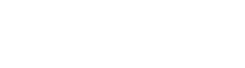 tyro leadership institute